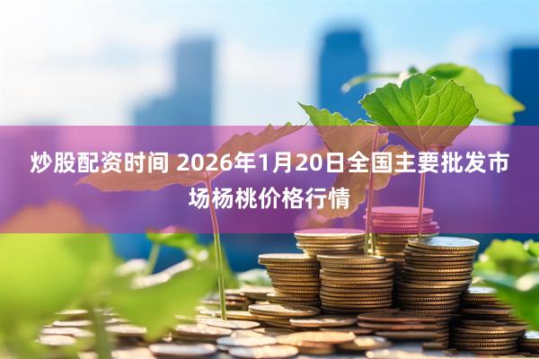 炒股配资时间 2026年1月20日全国主要批发市场杨桃价格行情